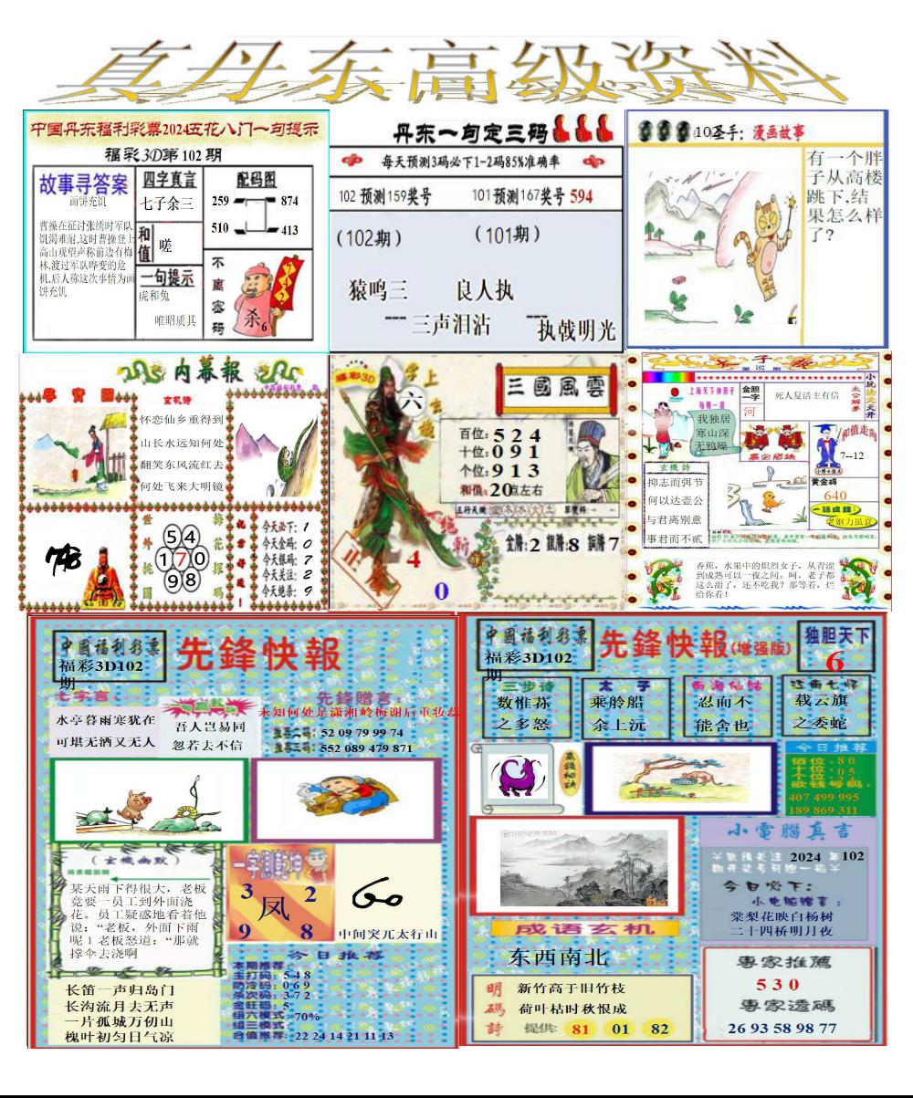 真丹东高级资料