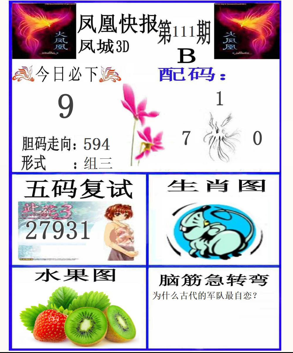 3D凤凰快报B版