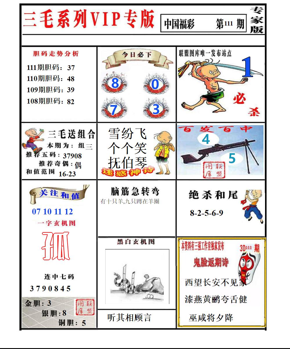 三毛专家版