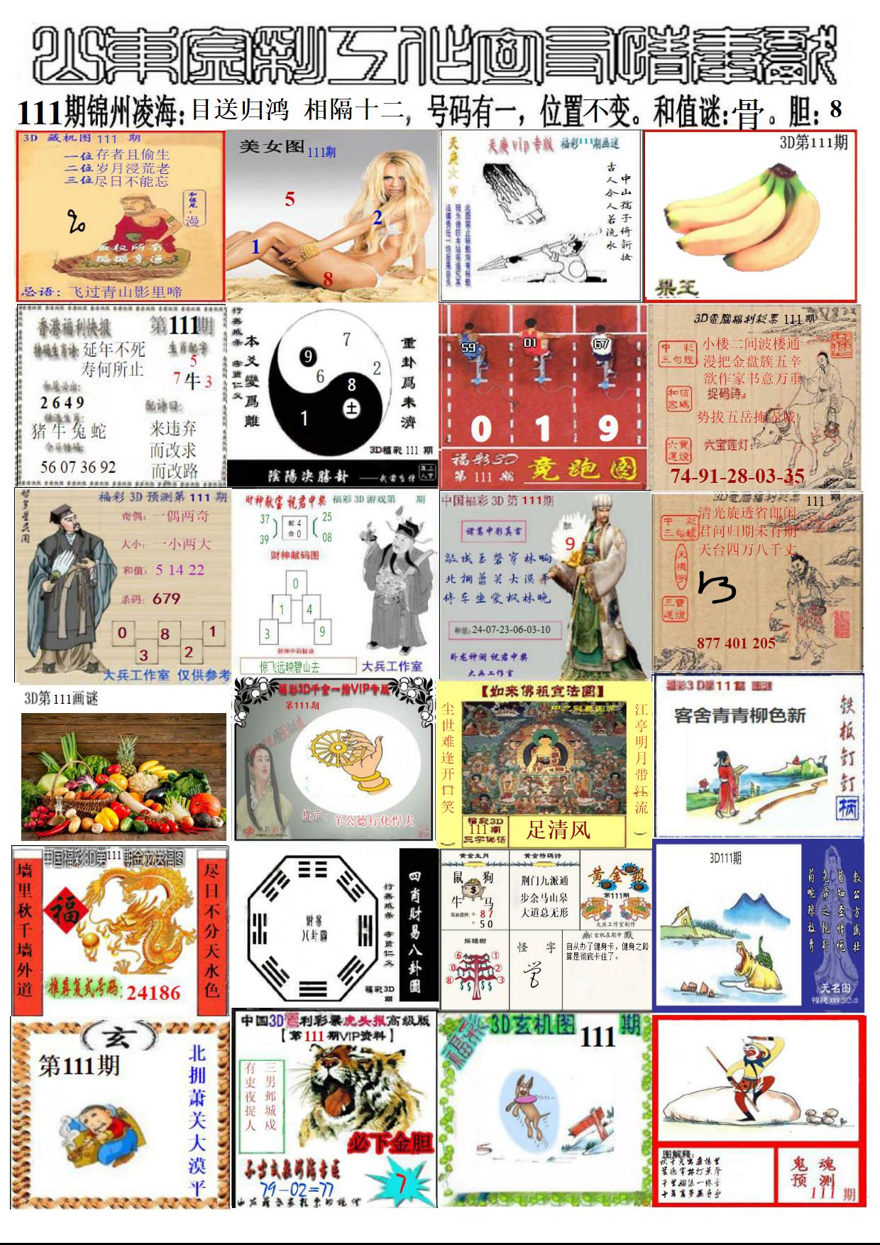 山东金彩
