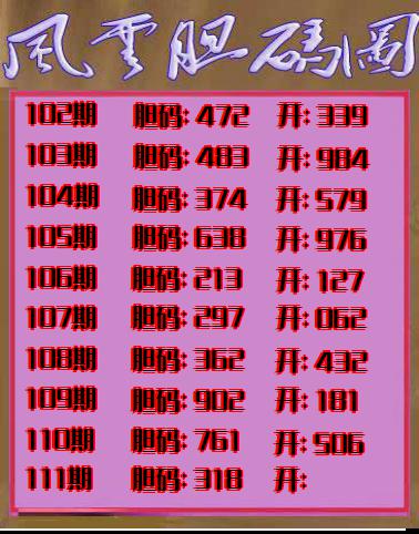 风云胆码图
