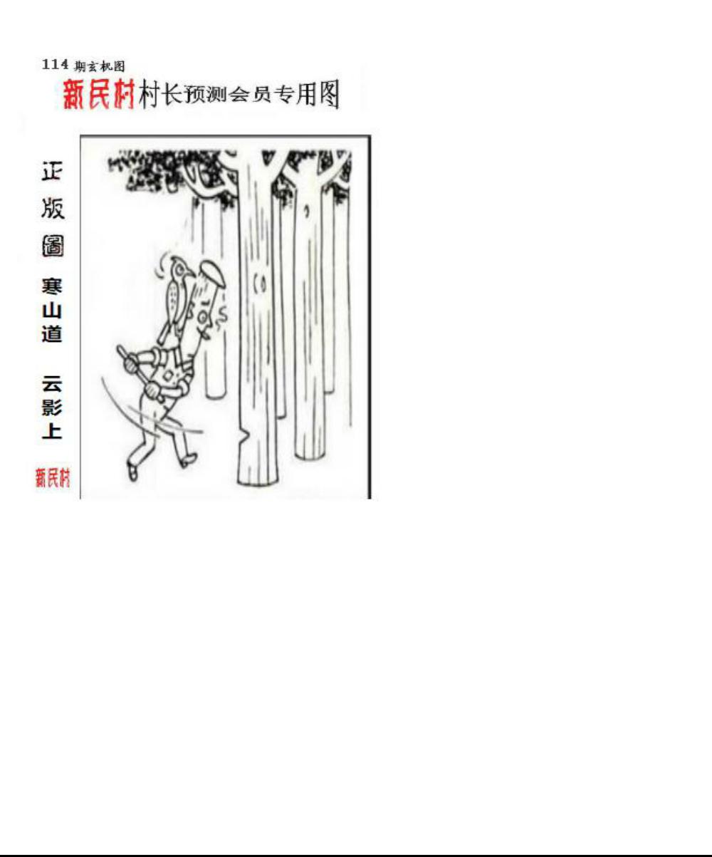 正版新民村村长预测图