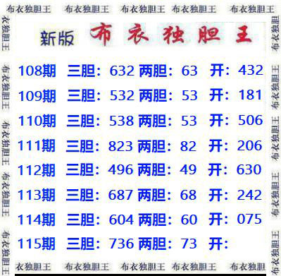 布衣独胆王