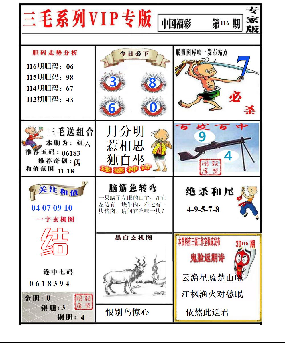 三毛专家版
