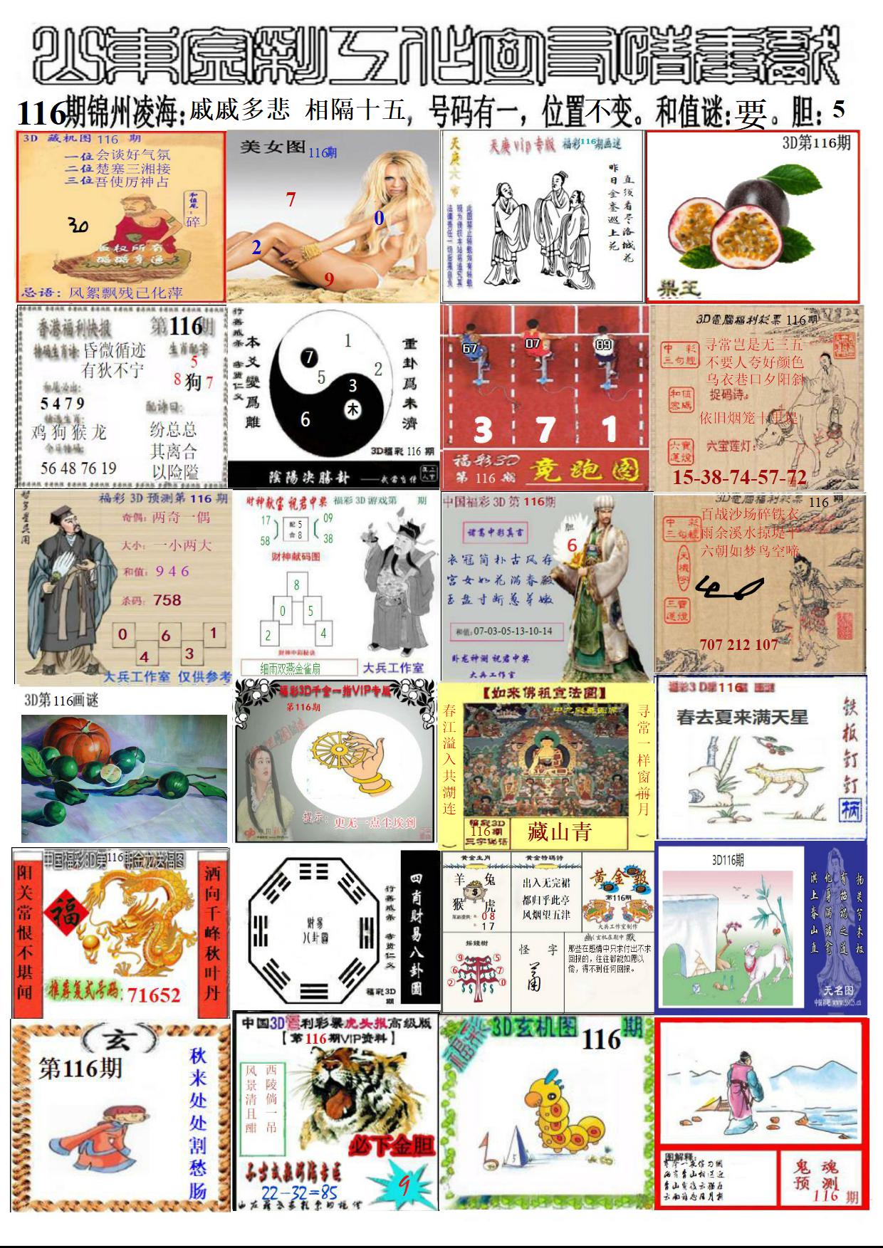 山东金彩