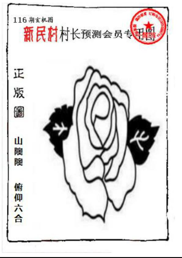 新民村村长预测图