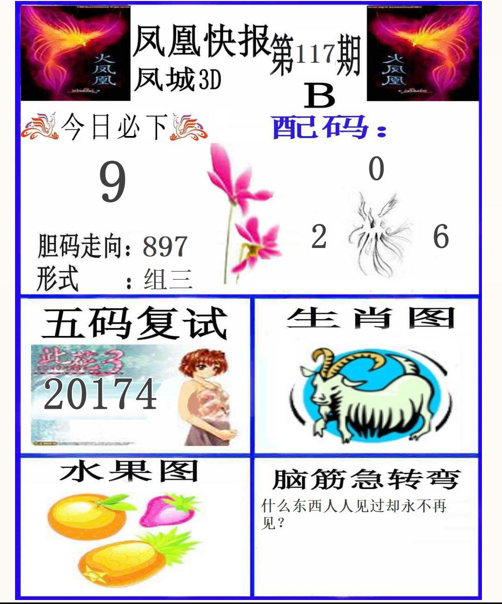 3D凤凰快报B版
