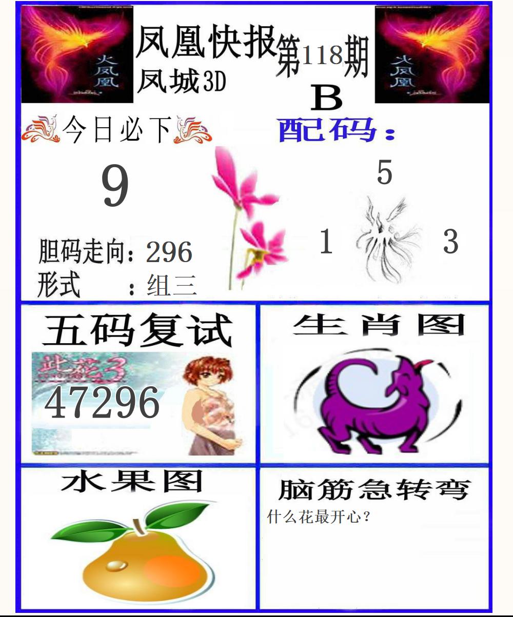 3D凤凰快报B版