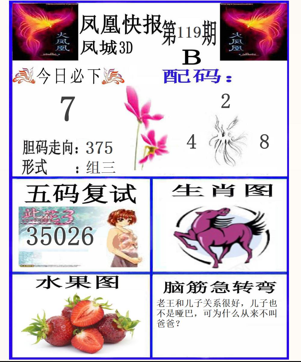3D凤凰快报B版