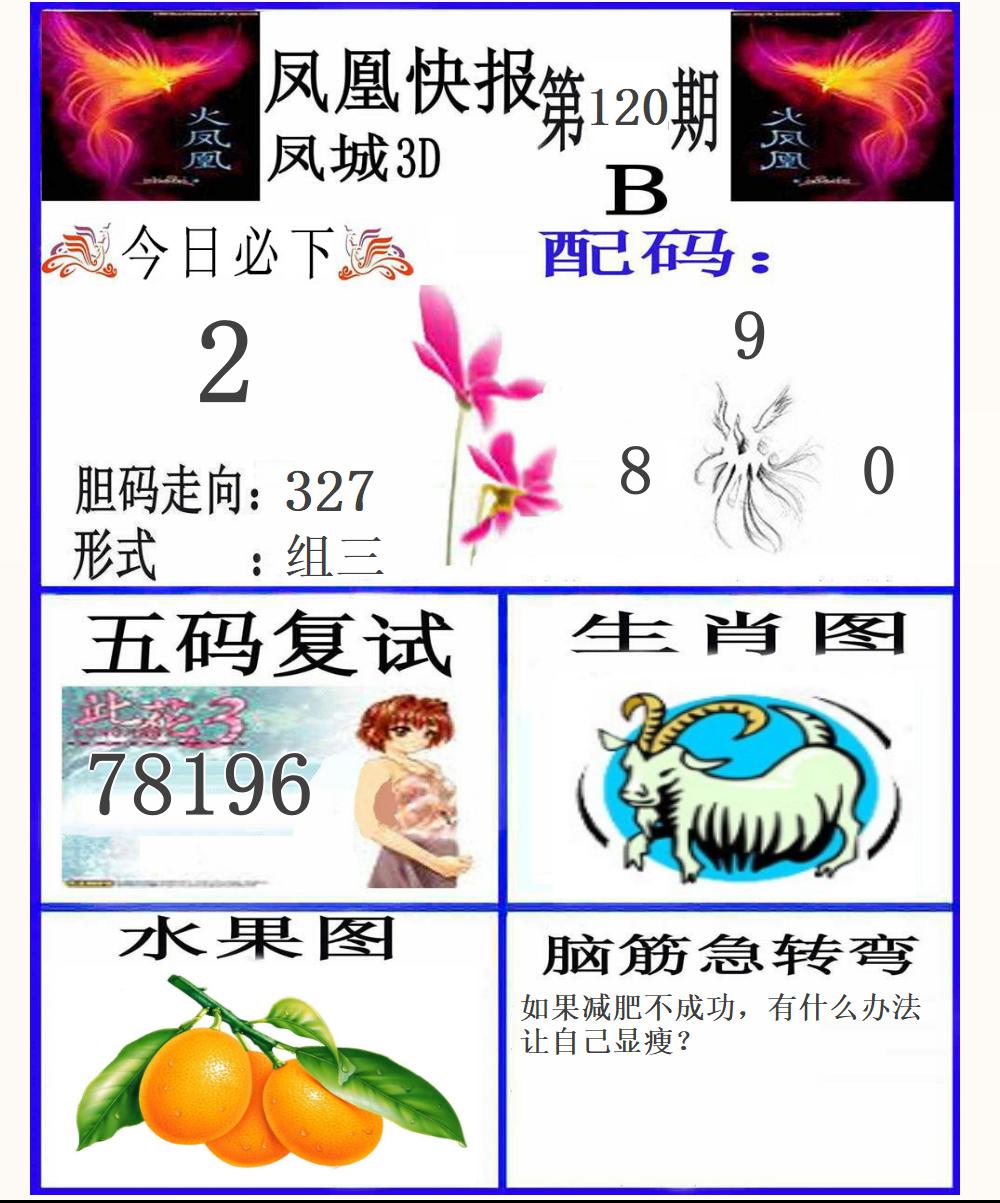3D凤凰快报B版
