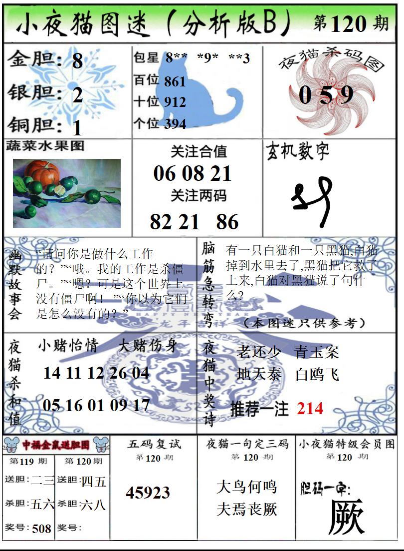 真小猫B
