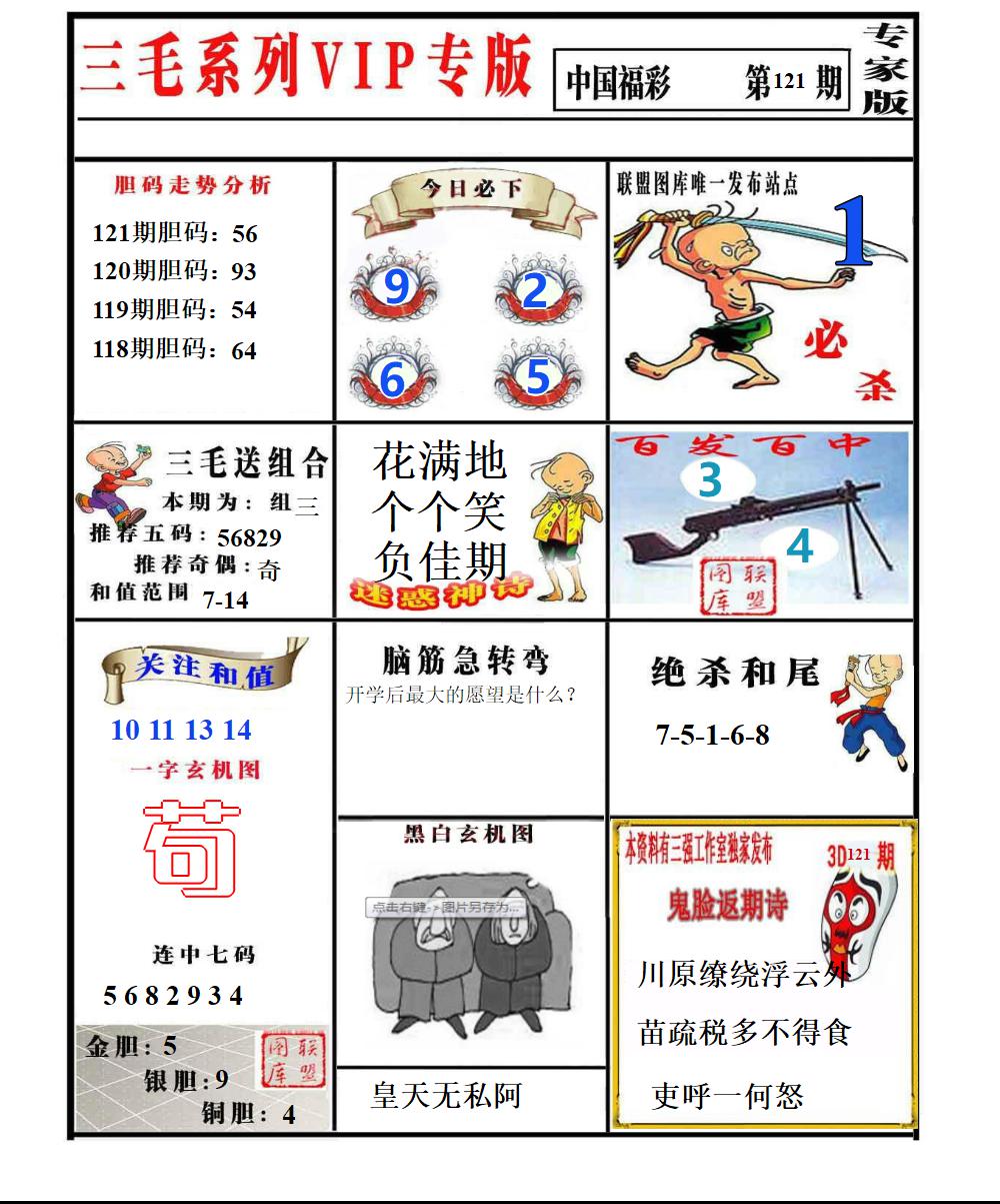 三毛专家版