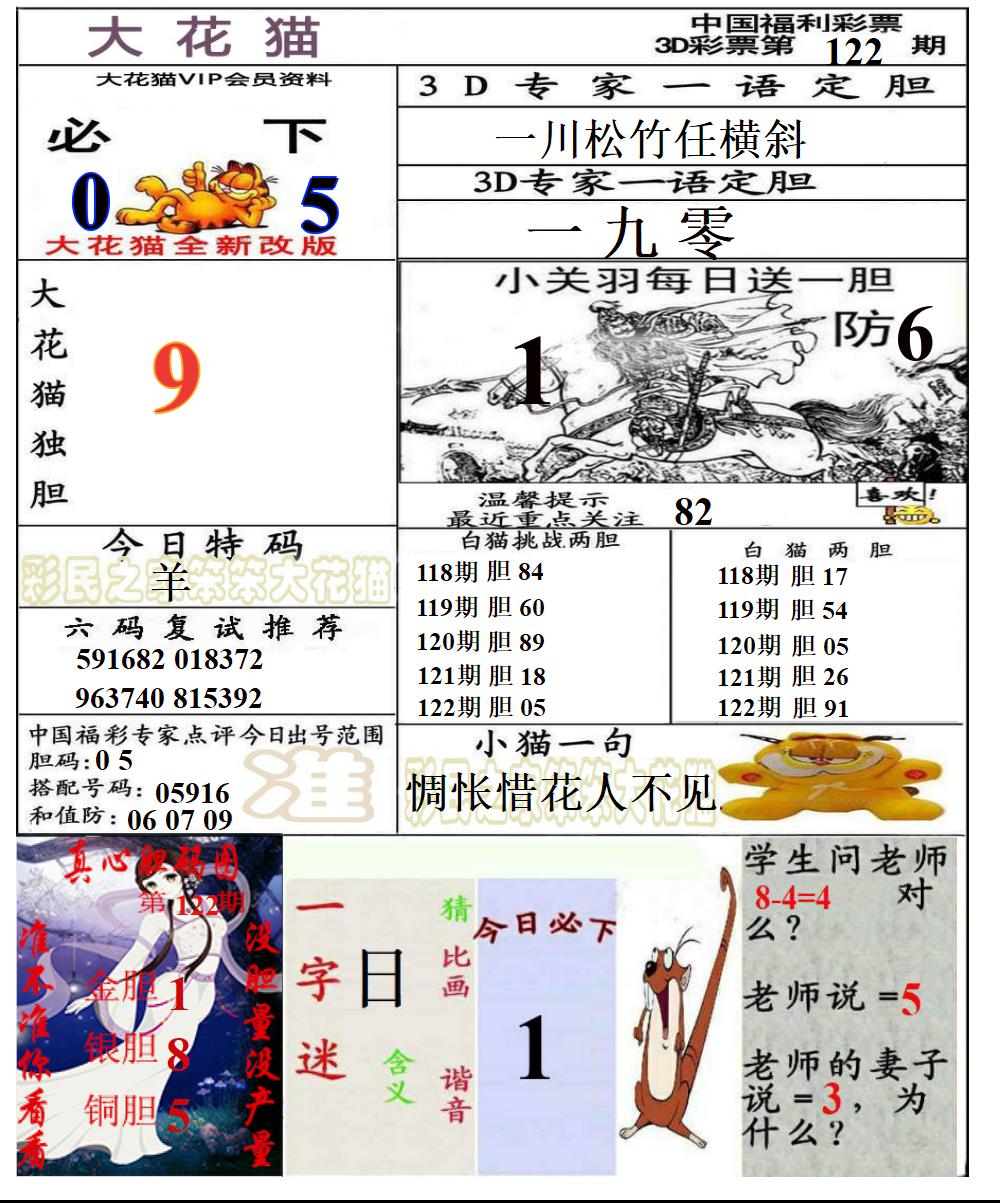 大花猫2