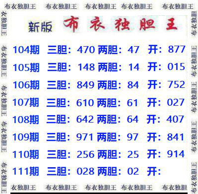 布衣独胆王