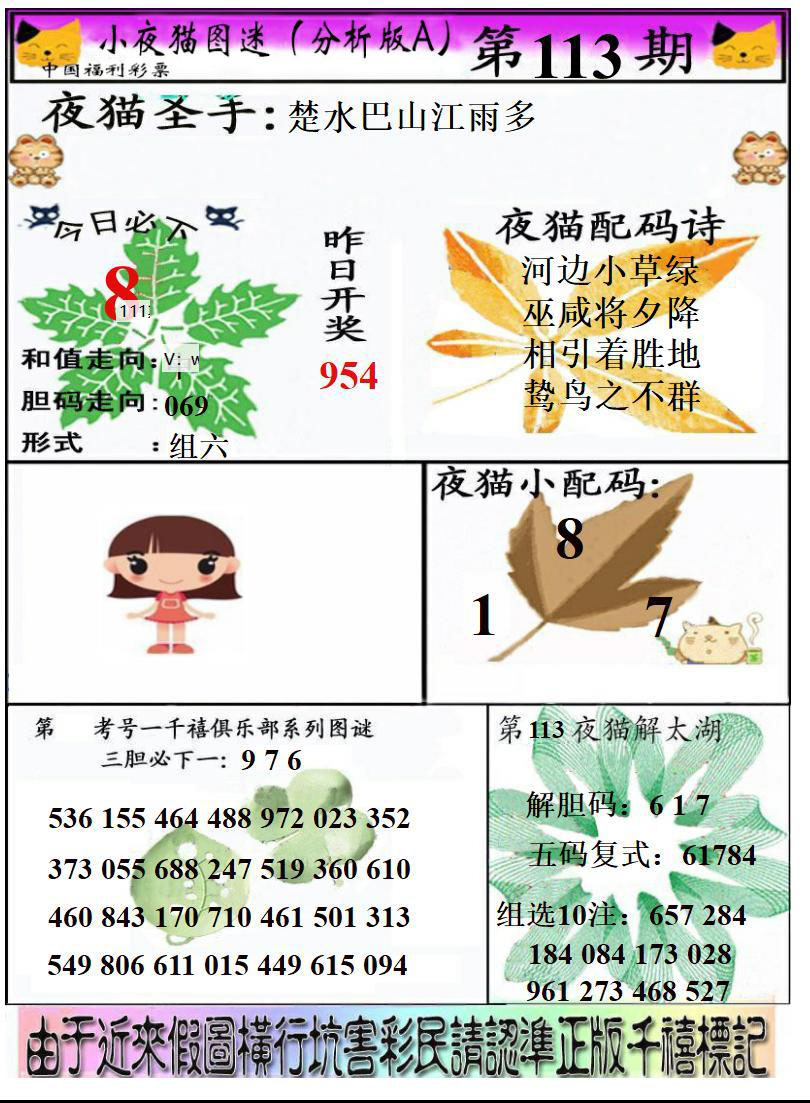 真小猫A
