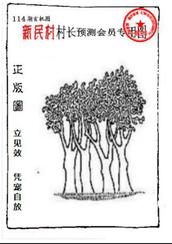 新民村村长预测图