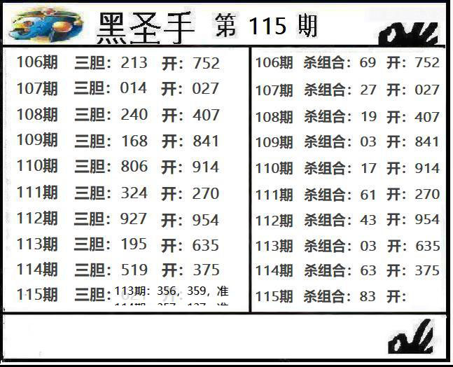 黑圣手