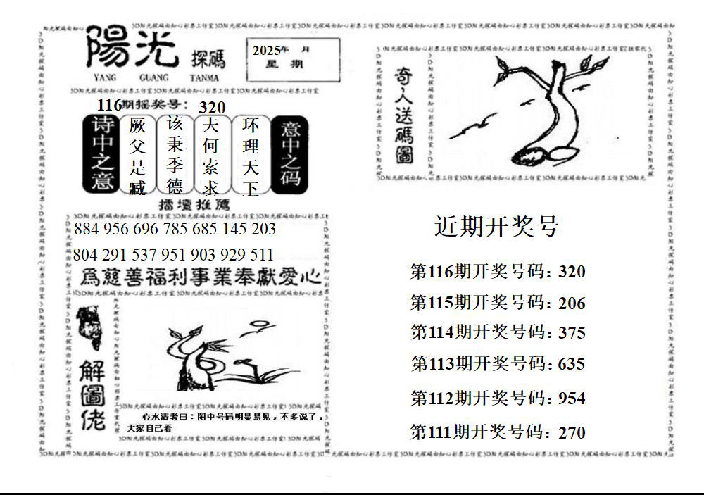 3D阳光探码