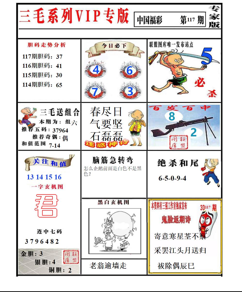 三毛专家版