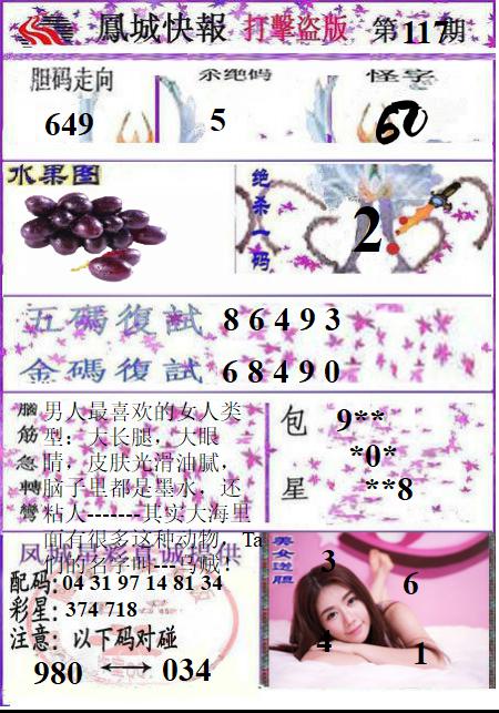 凤城打黑B版