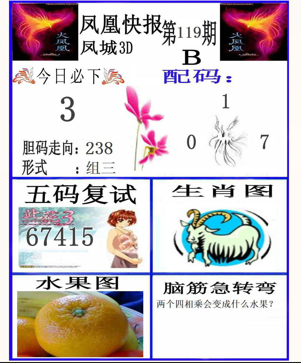 3D凤凰快报B版