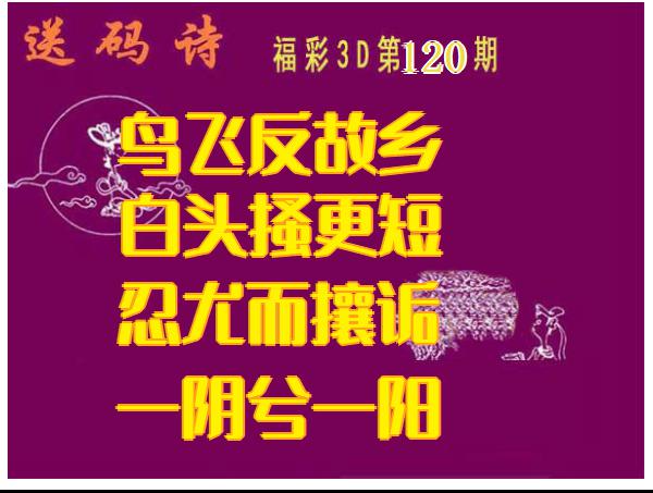 送码诗