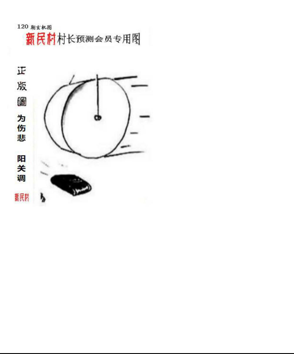 正版新民村村长预测图