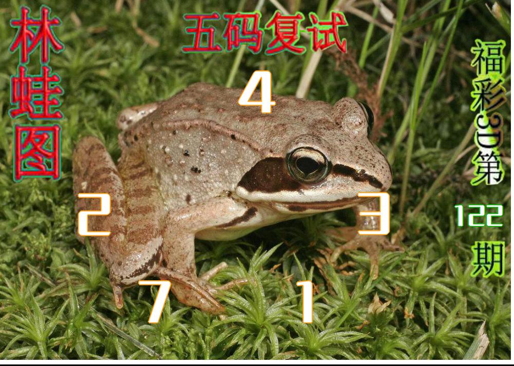 林蛙图