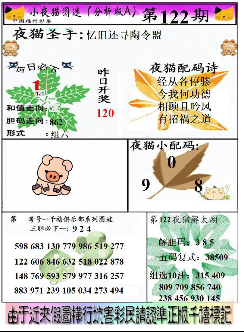 真小猫A