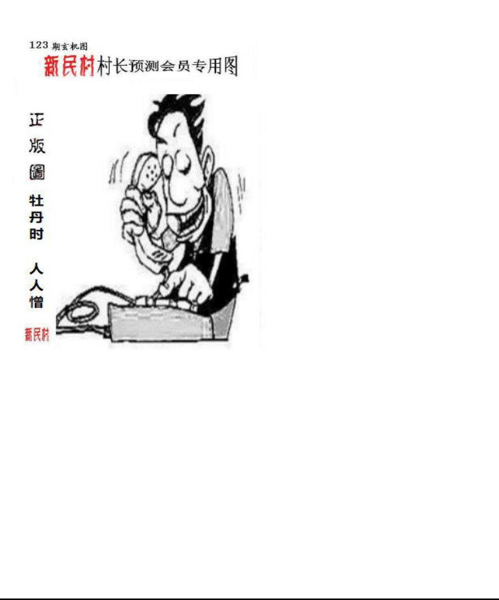 正版新民村村长预测图
